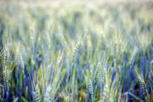 AdobeStock 157319311 min 300x200