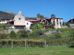 BEREDINO oo 300x225