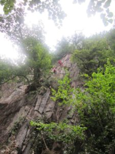 IMG 0140 516 1200 800 80 225x300