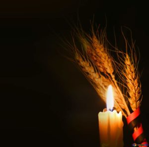 candela grano 300x296