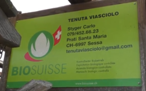 tenuta viasciolo sessa 300x187