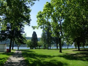 Parco al lago 300x225