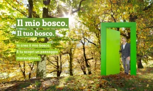 il mio bosco carlo it 300x178