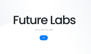 Screenshot 2023 11 16 at 16 44 35 Future Labs Advanced IT AI Apps Web Apps and Custom Web Systems 300x180