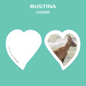 bustine cuore new 300x300