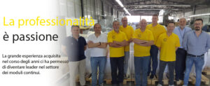 professionalita 300x124