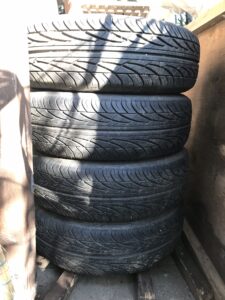 IMG 1007 225x300