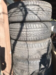 IMG 1012 225x300