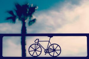 palma bicicletta ferro 300x200