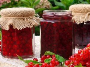 Marmellata di Ribes in vasetto: 8 x 270g