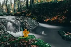 e7eebjyyr8o 1 300x200