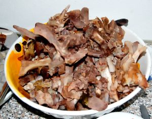 patate coi ossi 300x235