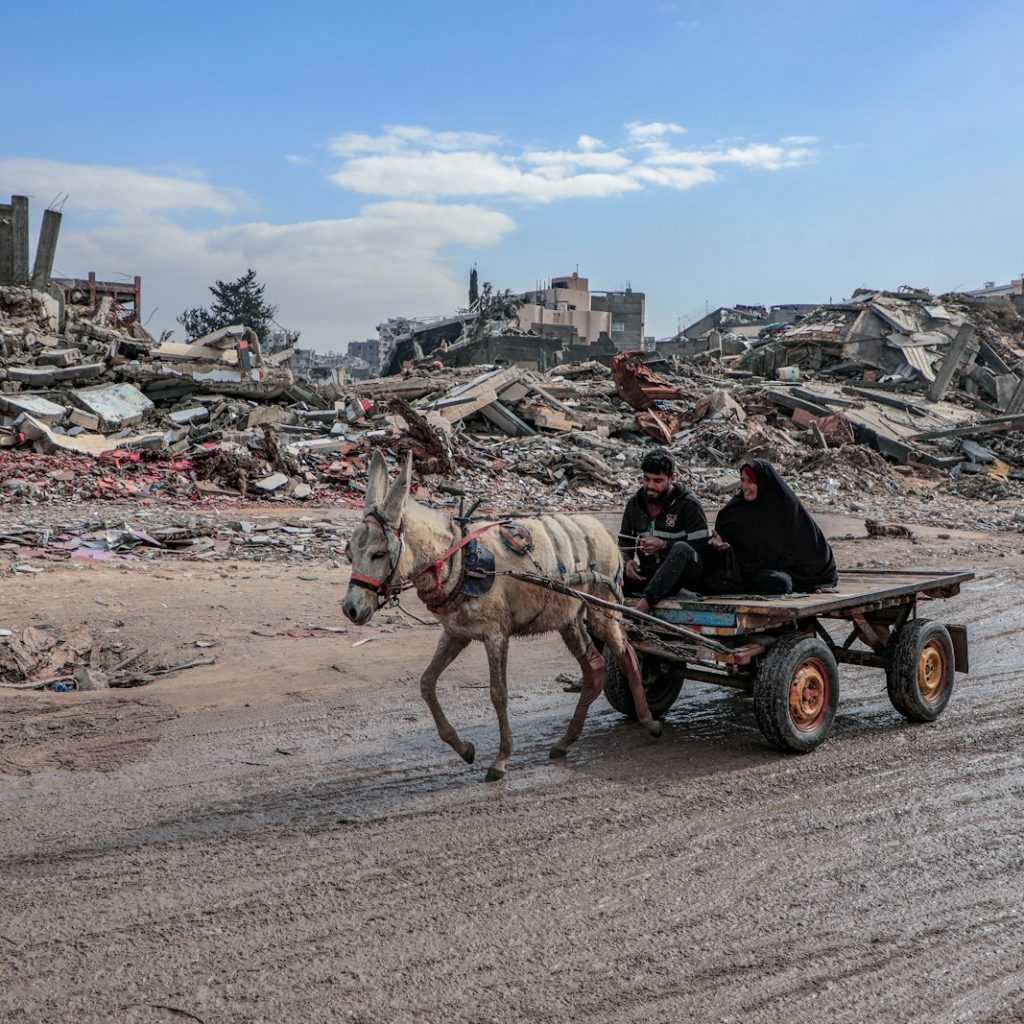 Donkey cart travels through a war-torn landscape.